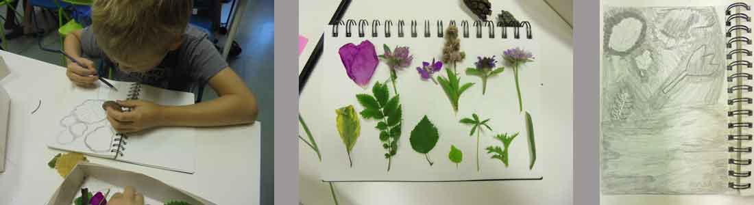 drawing based on colleted items from nature