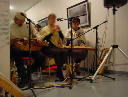 The Ancient Bear Cult and their performance during the annual taidekirppujen yö