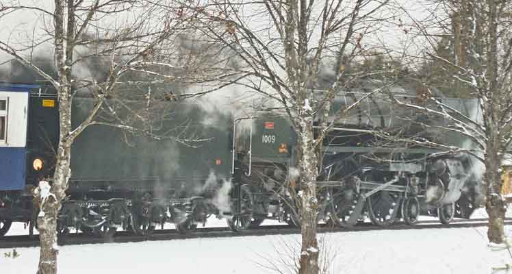 the steam train at Hiirola